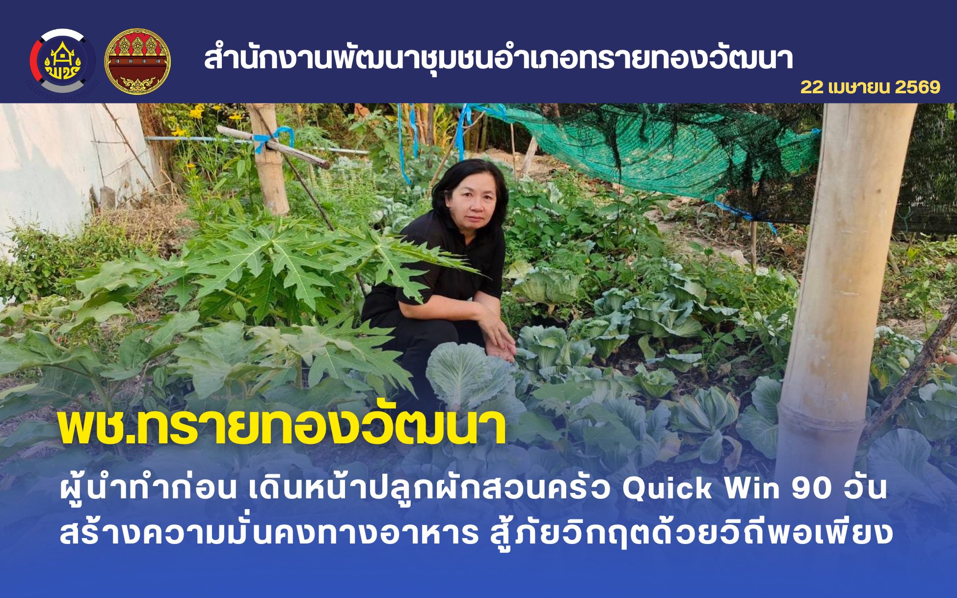 ผู้นำทำก่อน พช.ทรายทองวัฒนา เดินหน้าปลูกผักสวนครัว Quick Win 90 วัน สร้างความมั่นคงทางอาหาร สู้ภัยวิกฤตด้วยวิถีพอเพียง